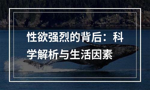 性欲强烈的背后：科学解析与生活因素