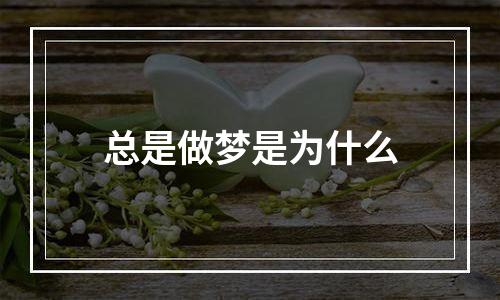 总是做梦是为什么