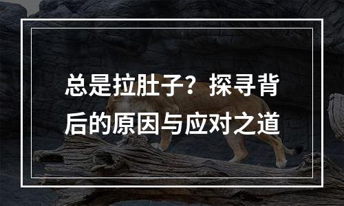 总是拉肚子？探寻背后的原因与应对之道