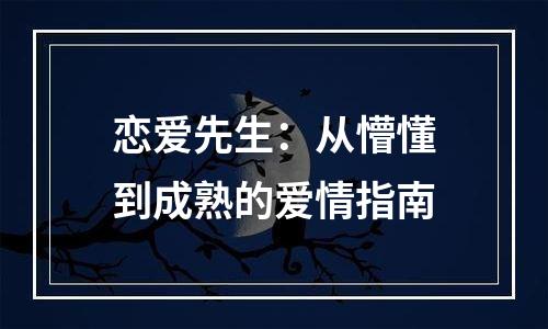 恋爱先生：从懵懂到成熟的爱情指南