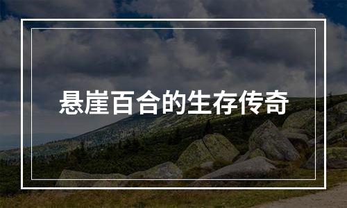 悬崖百合的生存传奇