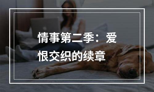 情事第二季：爱恨交织的续章
