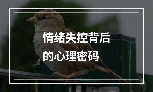 情绪失控背后的心理密码