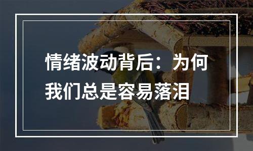 情绪波动背后：为何我们总是容易落泪