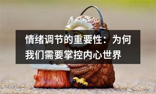 情绪调节的重要性：为何我们需要掌控内心世界