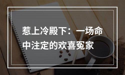 惹上冷殿下：一场命中注定的欢喜冤家