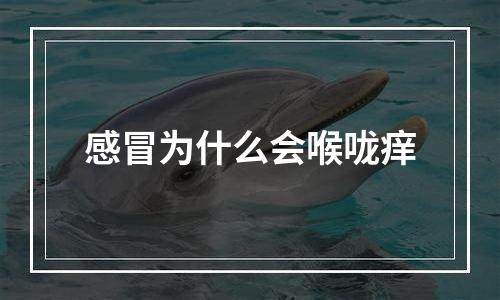 感冒为什么会喉咙痒