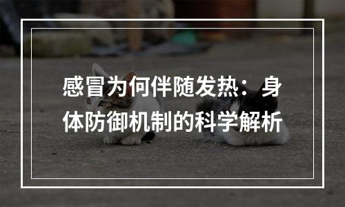 感冒为何伴随发热：身体防御机制的科学解析