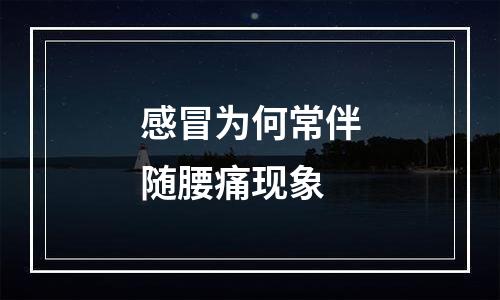 感冒为何常伴随腰痛现象