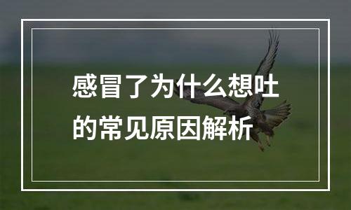 感冒了为什么想吐的常见原因解析