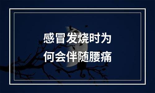 感冒发烧时为何会伴随腰痛