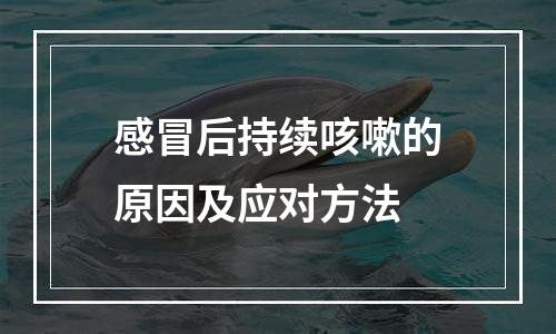 感冒后持续咳嗽的原因及应对方法