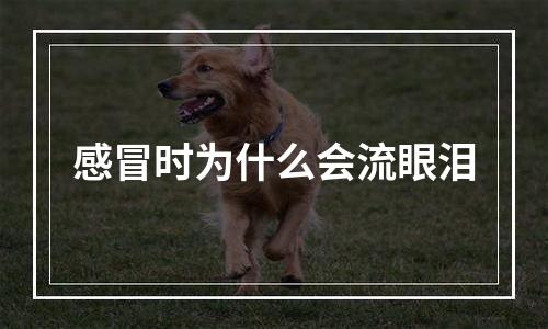 感冒时为什么会流眼泪