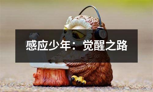 感应少年：觉醒之路