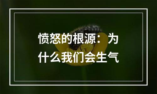 愤怒的根源：为什么我们会生气
