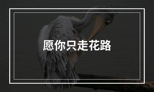 愿你只走花路