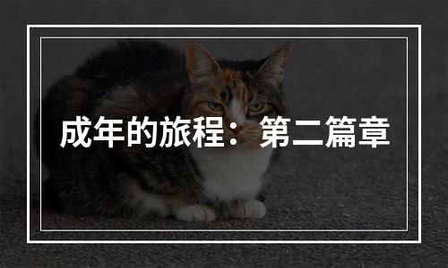 成年的旅程：第二篇章
