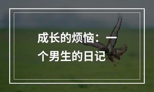 成长的烦恼：一个男生的日记
