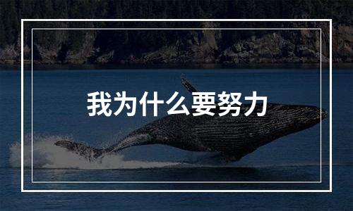 我为什么要努力