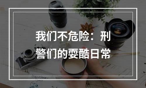 我们不危险：刑警们的耍酷日常