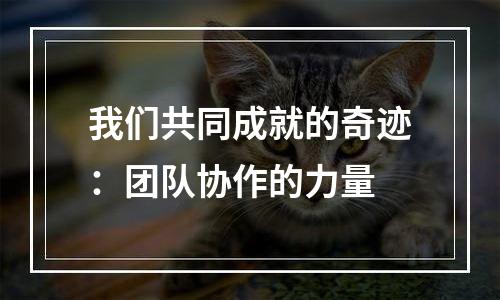 我们共同成就的奇迹：团队协作的力量