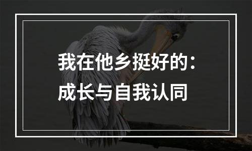 我在他乡挺好的：成长与自我认同