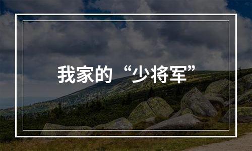 我家的“少将军”