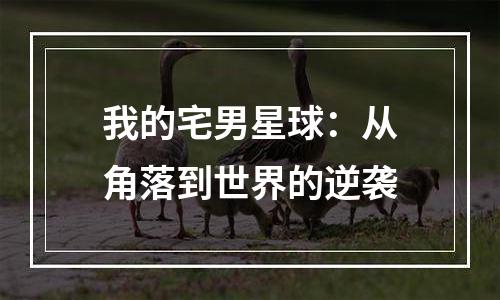 我的宅男星球：从角落到世界的逆袭