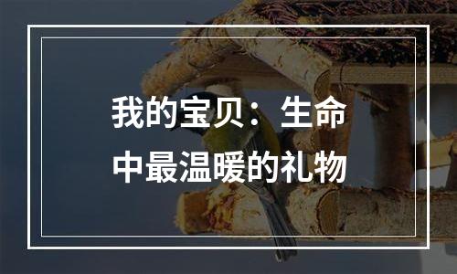 我的宝贝：生命中最温暖的礼物