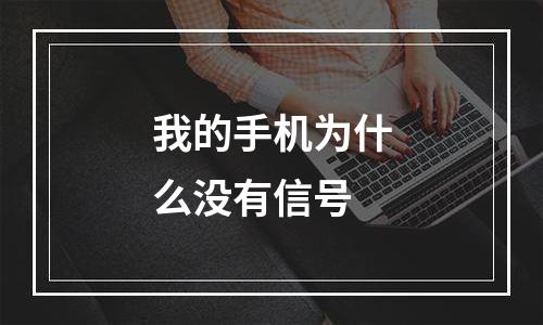我的手机为什么没有信号