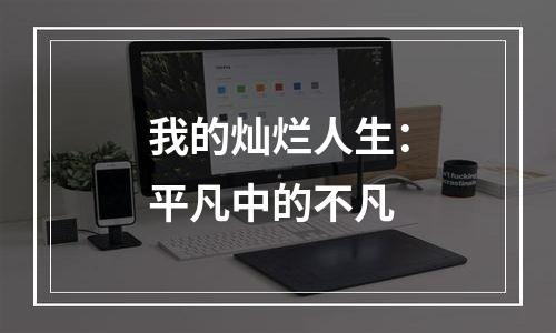 我的灿烂人生：平凡中的不凡