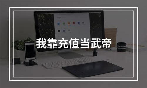 我靠充值当武帝