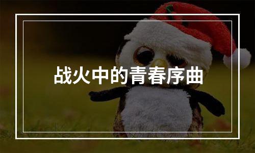 战火中的青春序曲