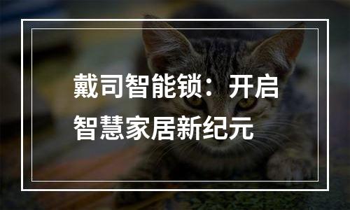 戴司智能锁：开启智慧家居新纪元