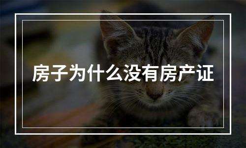 房子为什么没有房产证