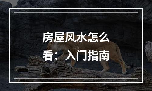 房屋风水怎么看：入门指南