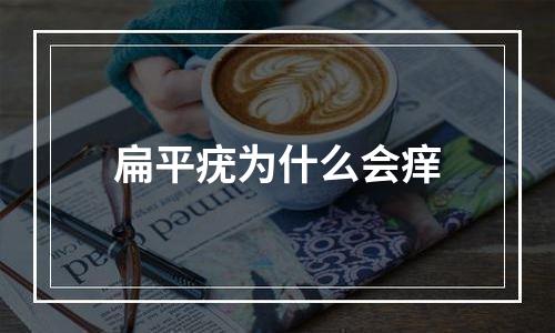 扁平疣为什么会痒