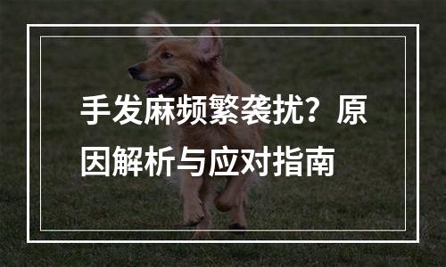 手发麻频繁袭扰？原因解析与应对指南