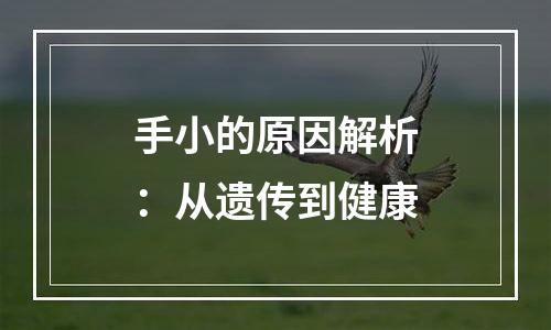 手小的原因解析：从遗传到健康