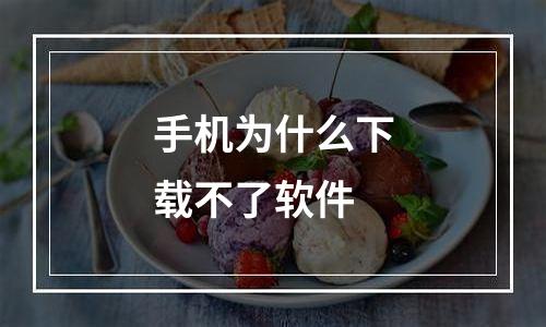 手机为什么下载不了软件