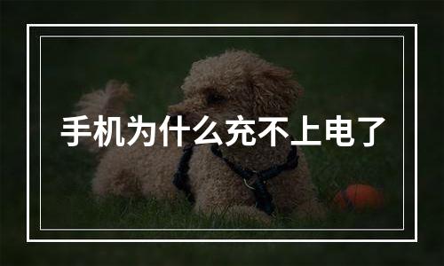 手机为什么充不上电了