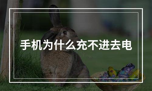 手机为什么充不进去电