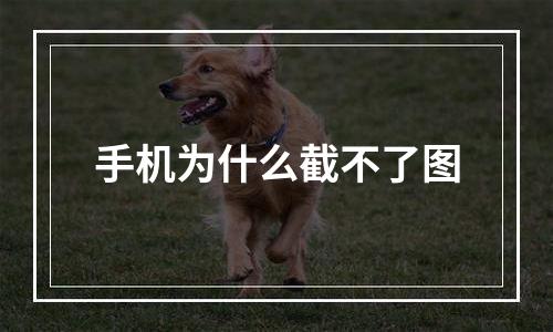 手机为什么截不了图