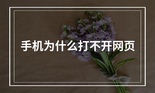 手机为什么打不开网页