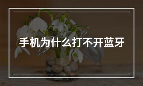 手机为什么打不开蓝牙