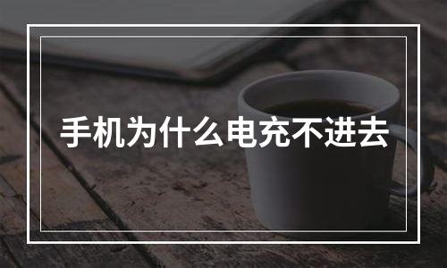 手机为什么电充不进去