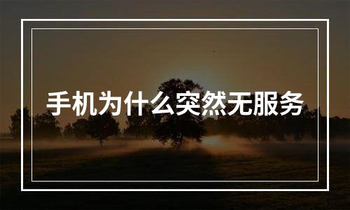 手机为什么突然无服务