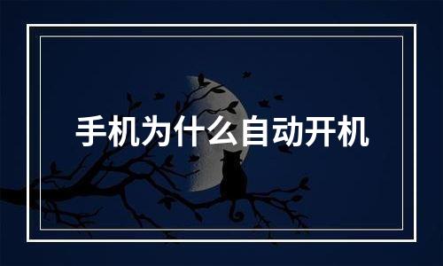 手机为什么自动开机