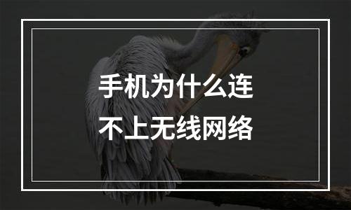 手机为什么连不上无线网络