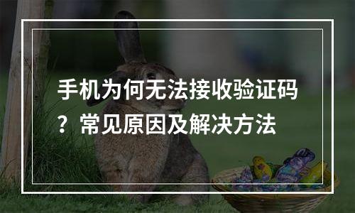 手机为何无法接收验证码？常见原因及解决方法